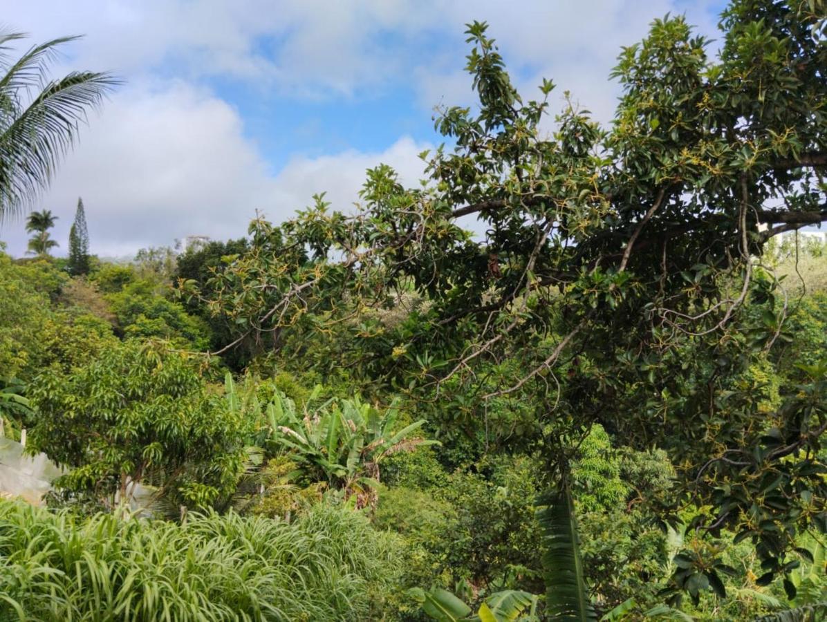 Apartamento Cercado Por Natureza E Diversao Maceió 外观 照片